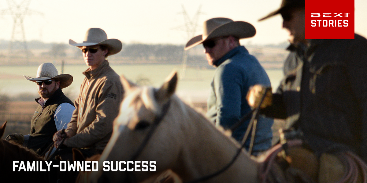 Family-Owned Success original BEX story artwork